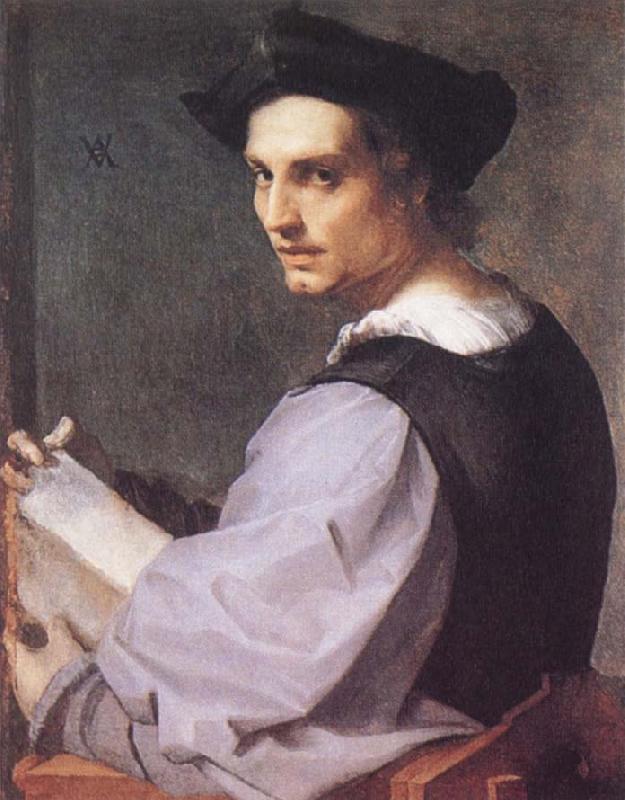 Andrea del Sarto Portrait of a Young Man France oil painting art